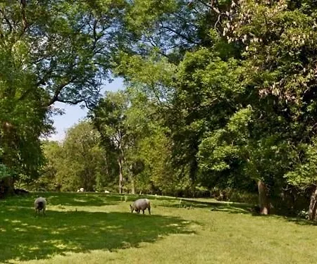 Woodlands Farm 5*